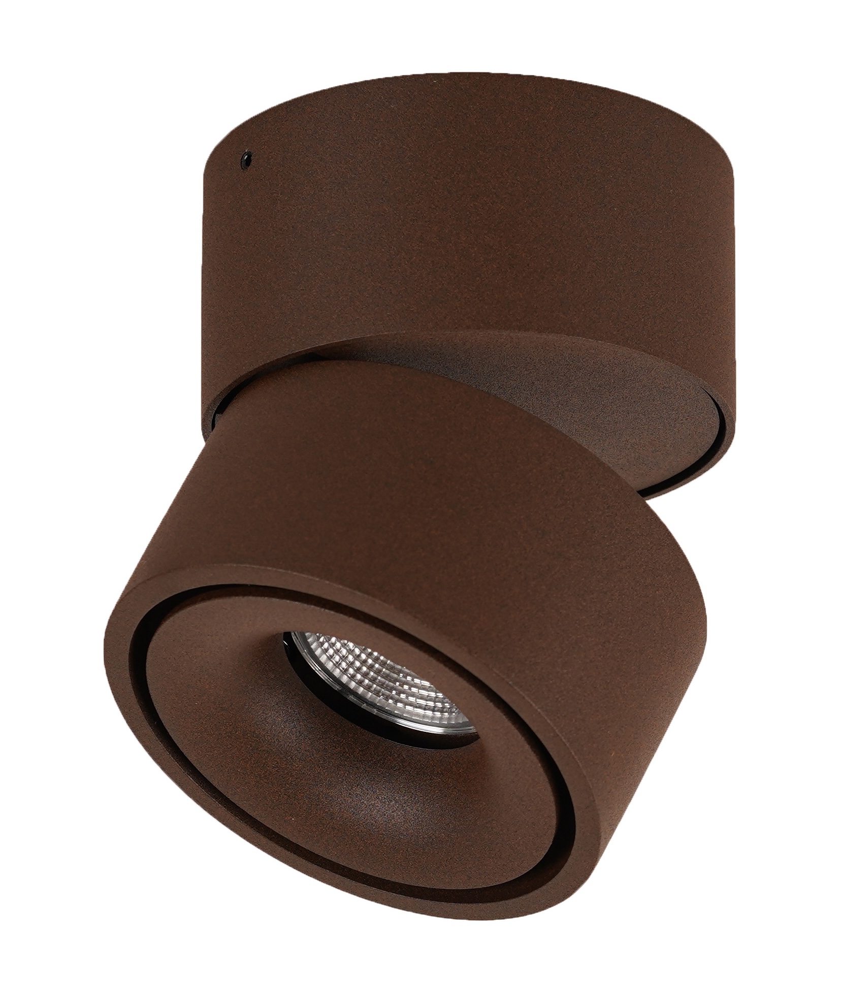 LED-Spot Easy W100 single Rost
