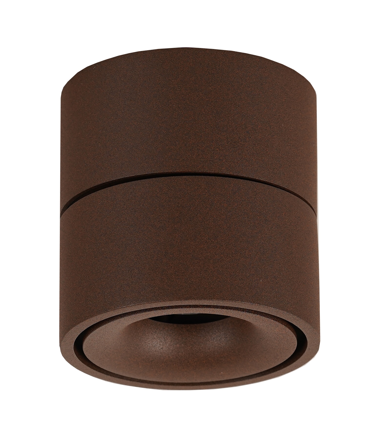 LED-Spot Easy W100 single Rost