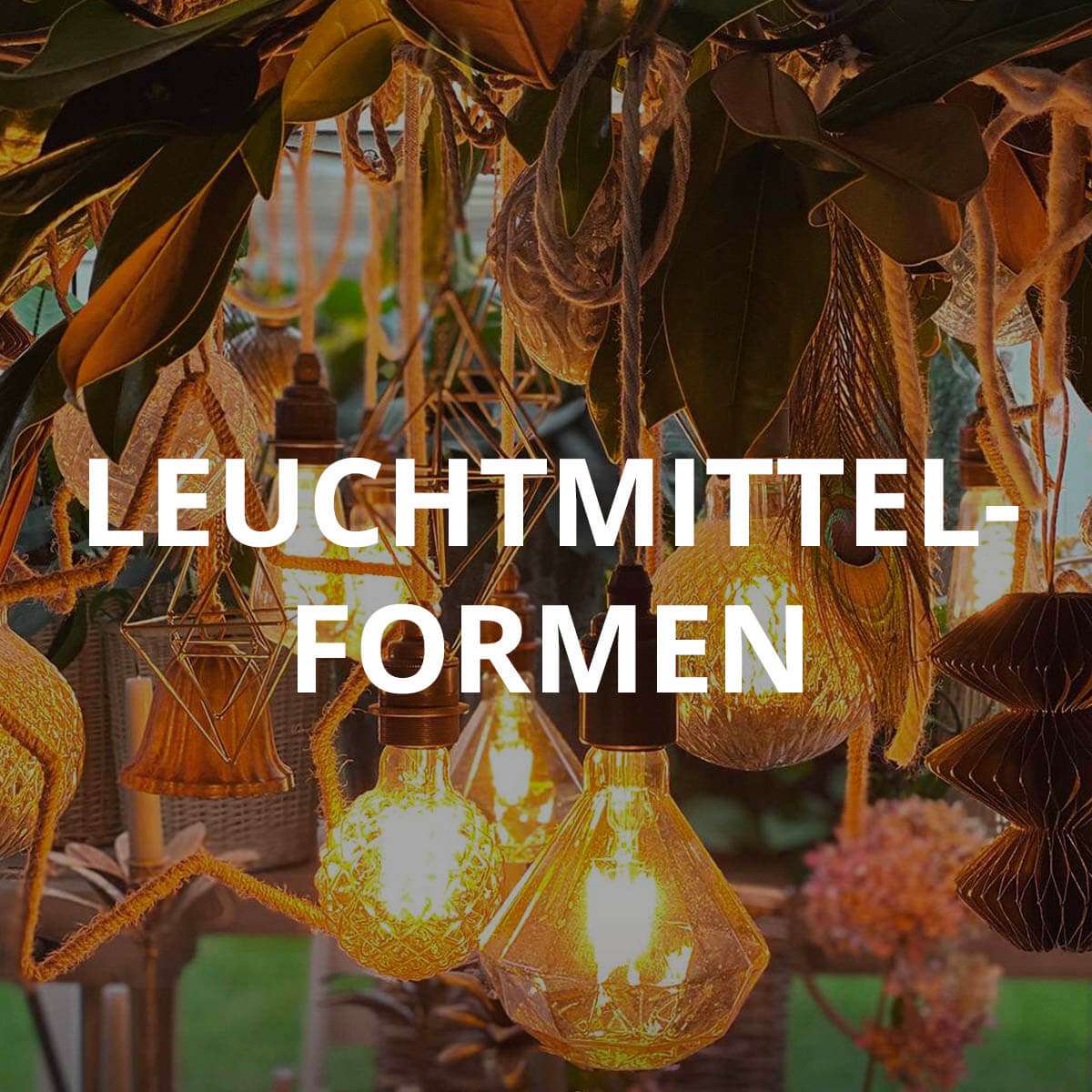 Leuchtmittel und ihre Formen